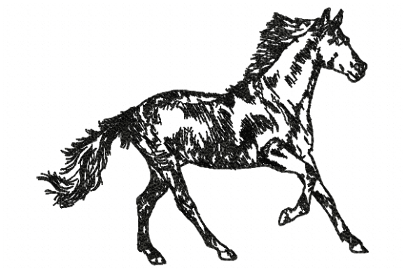 Horse Line Embroidery Review