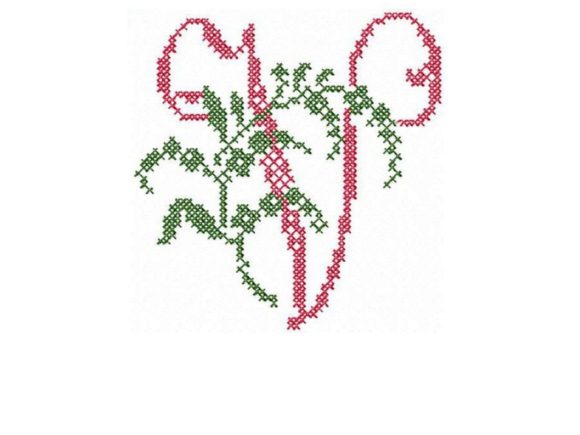 Monogram Letter V Review for Boutique Apparel